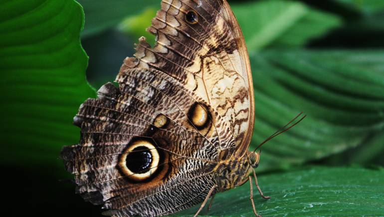 Reservas de Biósfera