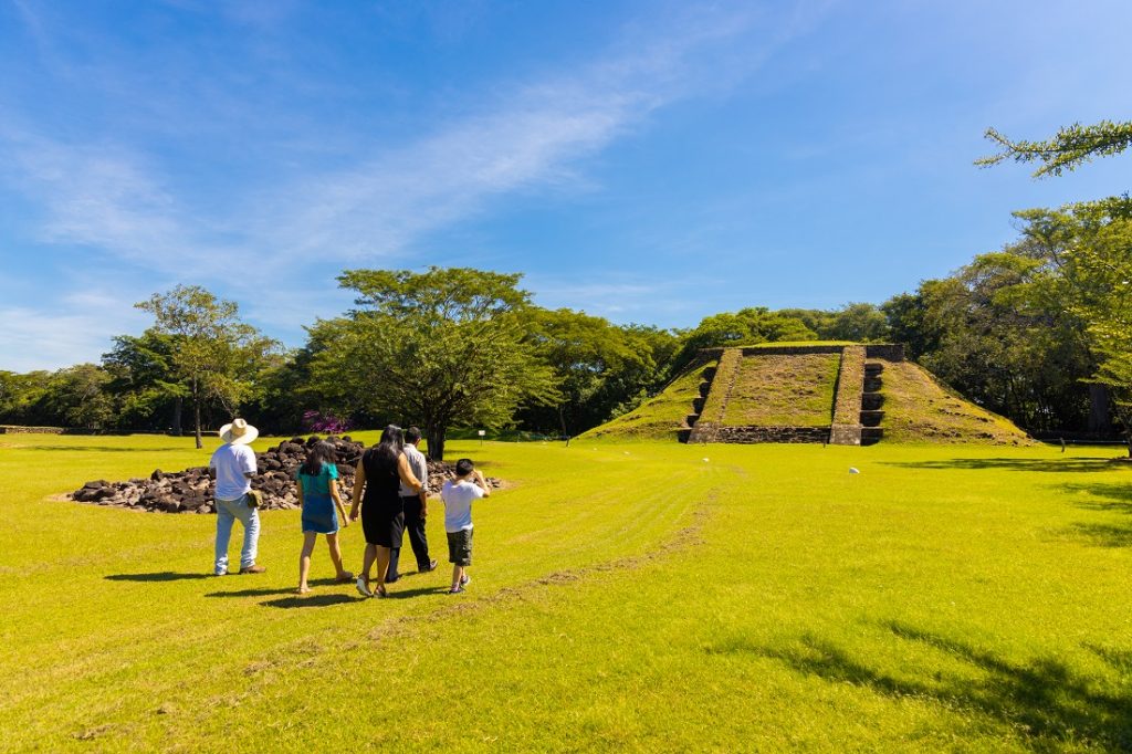 Observación de Aves